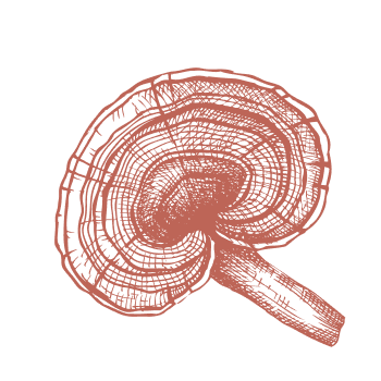 Kehren Sie zur Tradition zurück und stärken Sie Ihr Immunsystem