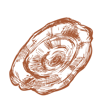 Machen Sie einen Schritt zur Vitalität und Stärke