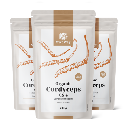 3x BIO Cordyceps CS-4 Pulver, zusammen 600 g