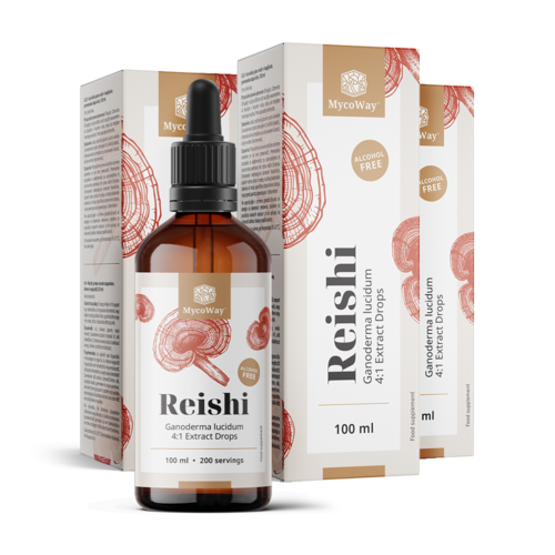3x Reishi – Extrakt in Tropfenform, zusammen 300 ml