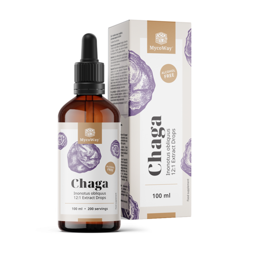 Chaga – Extrakt in Tropfen, 100 ml
