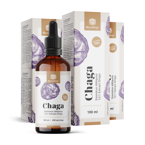 3x Chaga – Extrakt in Tropfen, zusammen 300 ml