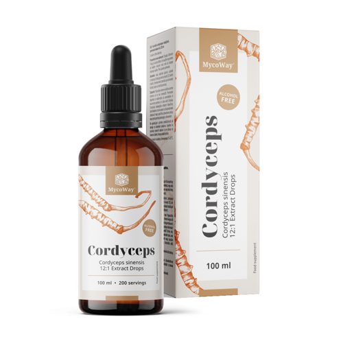 Cordyceps – Extrakt in Tropfen, 100 ml